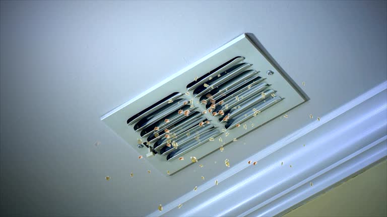 Best HVAC Duct Inspection Services  in Ash Grove, MO